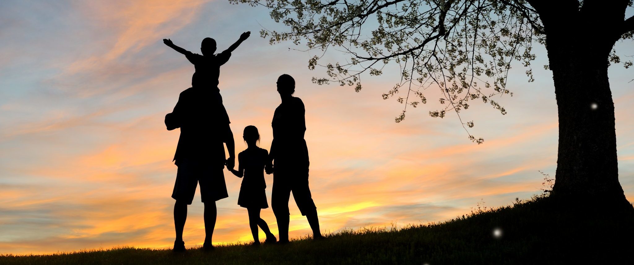 Adoption Centre of British Columbia - Photo of a happy family against a sunset with a tree
